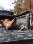 Ohio Deer Brian 2.jpg