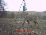 MDGC0210.jpg