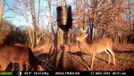 feeder 6.jpg