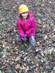 IMG_7336.jpg