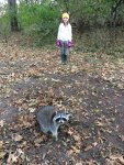 IMG_7345.jpg