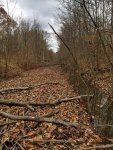 20171125_132943.jpg
