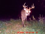 15 Pointer 1.jpg