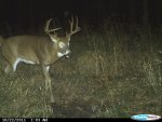 CDY_0001 (2).jpg