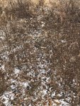 IMG_0297.jpg