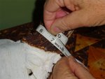 DSC03090web.jpg