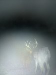 IMG_20171230_144634362.jpg