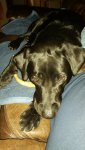 20161023_225204.jpg