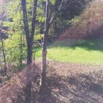 IMG_3124.JPG