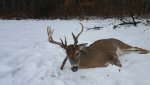 IMG_0534.JPG