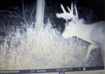 20171116_101826.jpg