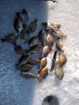 IMG_20180114_145549500.jpg