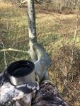 IMG_4283.jpg