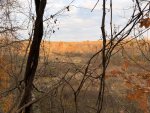 IMG_4292.jpg