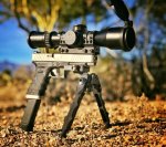 IMG_0639.JPG IMG_0639.JPG