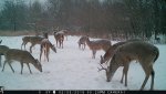 IMG_1692.jpg