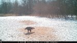 IMG_4272.jpg
