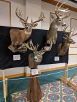 IMG_20180217_165120.jpg