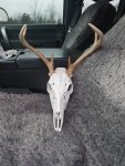20180223_152515.jpg