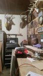 shop room.jpg