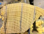 growth rings and the back of the bow.jpg