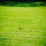 IMG_20180607_172240_165.jpg