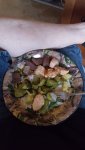 20180625_204515.jpg