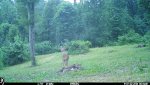 IMG_0049.JPG