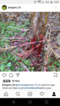Screenshot_20180809-153724.png