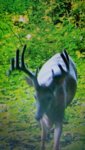 20180823_230450.jpg