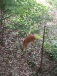 IMG_20180825_072235076_LL.jpg
