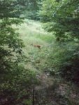 IMG_20180825_071934394_BURST001_LL.jpg