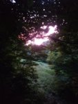 IMG_20180825_065456049_LL.jpg