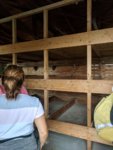 IMG_20180824_100101.jpg