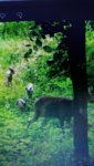 20180826_161019.jpg