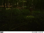 PICT0418.JPG