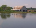 Madison-20120519-00058.jpg