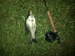IMG-20120522-00075.jpg