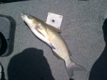 IMG-20120531-00097.jpg