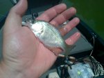 IMG-20120531-00096.jpg