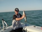 Fish 539.jpg