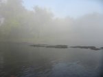 IMG_0976.JPG