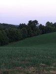 ImageUploadedByTapatalk1341880559.559958.jpg