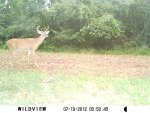 lil buck.JPG lil buck.JPG