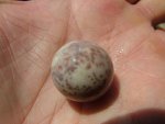 DSCF4379.jpg