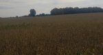 0916181010a-1.jpg