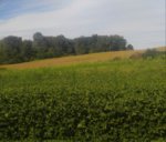 0916181014-1.jpg