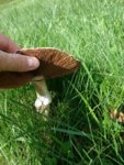 IMG_20181008_144018193.jpg