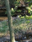 IMG_20181018_092648.jpg