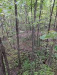 IMG_20181019_171311.jpg